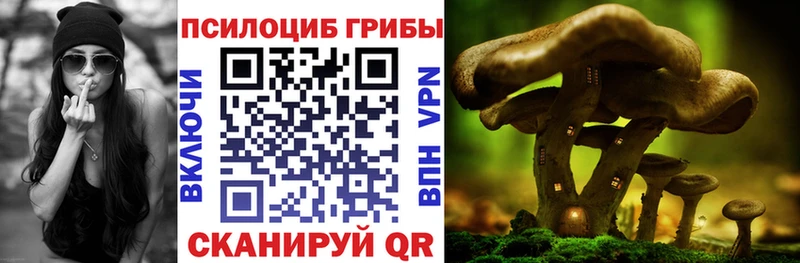 купить наркотик Себеж Галлюциногенные грибы Psilocybe